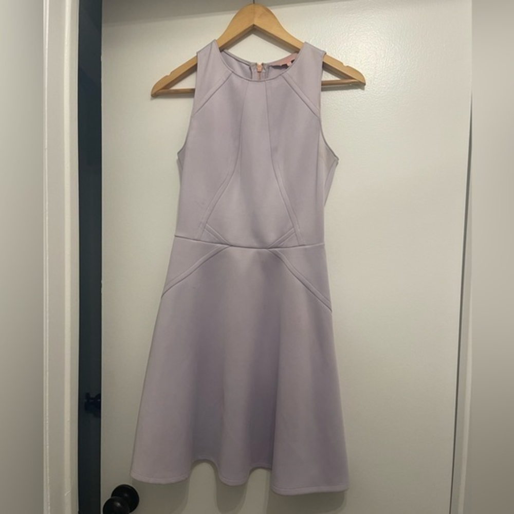 Ted baker skater dress